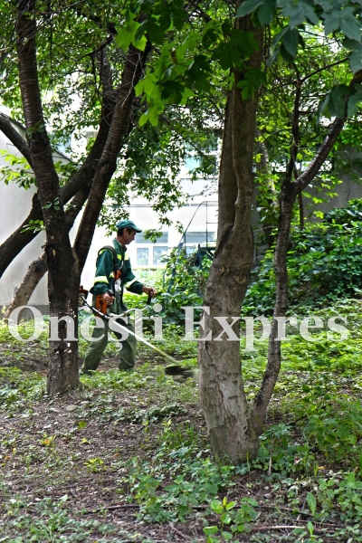 Angajatii DPP Onesti, clienti pentru spital