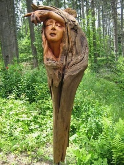 Caligrafii – Esente otravitoare