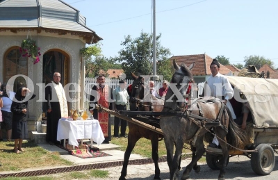 Sarbatorile Casinului