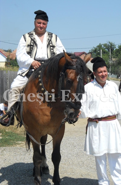 Sarbatorile Casinului