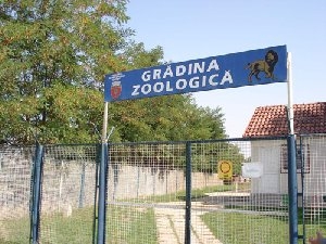 zoo-susweb zoo-susweb