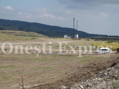 Somn usor, DPP lucreaza pentru altii! Neghina: “Faceau doar un ciubuc!”