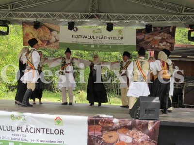 Hora mare incinsa pe scena festivalului