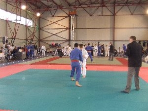 judo