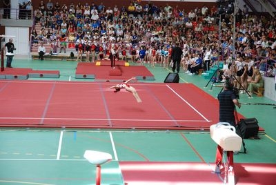 Competitie de top a gimnasticii