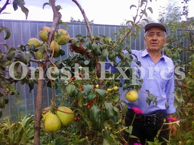 GOSPODARUL SAPTAMANII: toamna roditoare la Casin