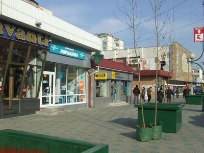 Platani pe bulevard prin grija Primariei