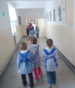 elevi-web1 elevi-web1