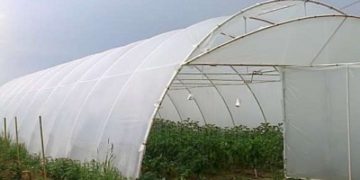 Folie solar 200 microni – alegerea potrivita pentru solarul tau