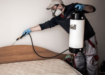 Tips&tricks: ce trebuie sa stii despre procedura de dezinsectie?